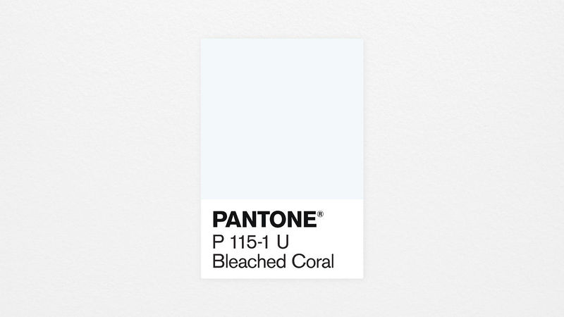 tsvet-2020-goda-pantone-bleached-coral