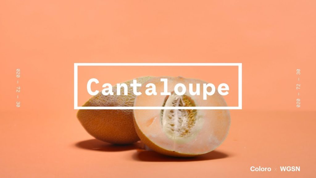 tsvet-2020-goda-wgsn-cantaloupe
