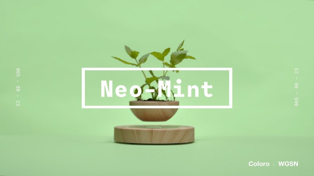 tsvet-2020-goda-wgsn-neo-mint